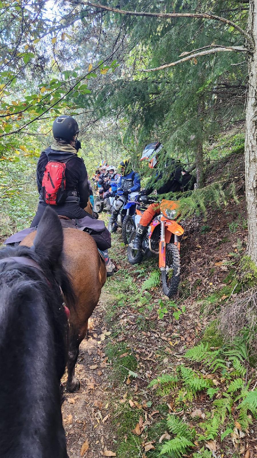 S�jour �questre   photo 6