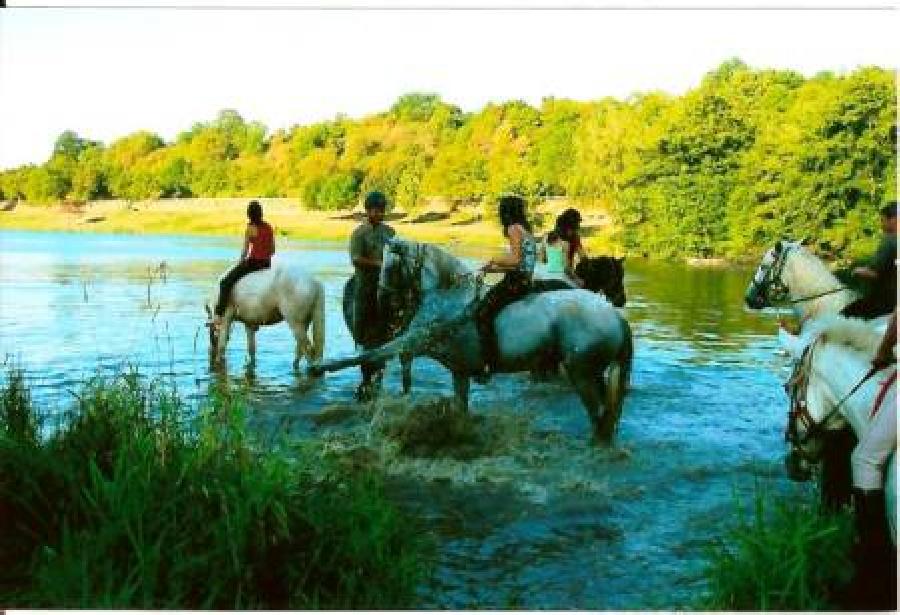 Randonne questre Sane-et-Loire Beaujolais photo 2