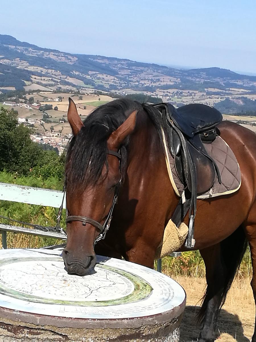 Sjour questre   photo 3