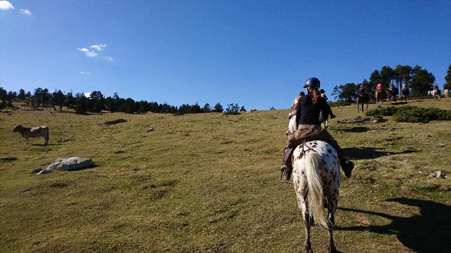 Voyage  cheval Arige 