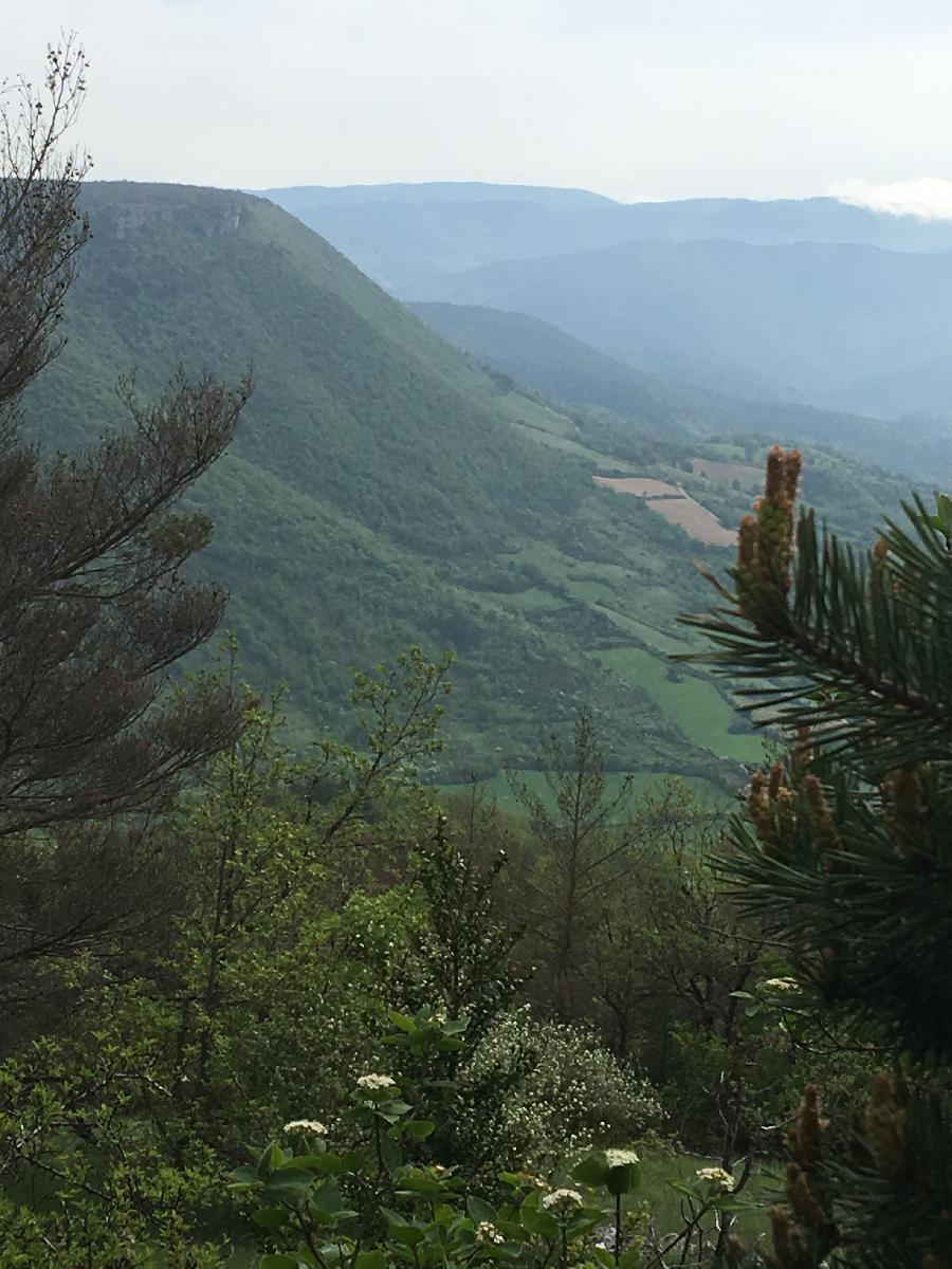 Sjour questre Aveyron PNR des Grands Causses photo 5