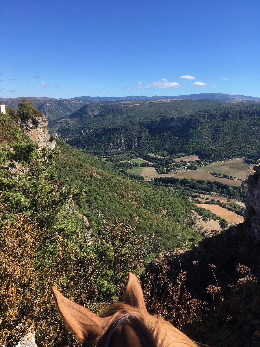 Sjour questre Aveyron PNR des Grands Causses photo 6