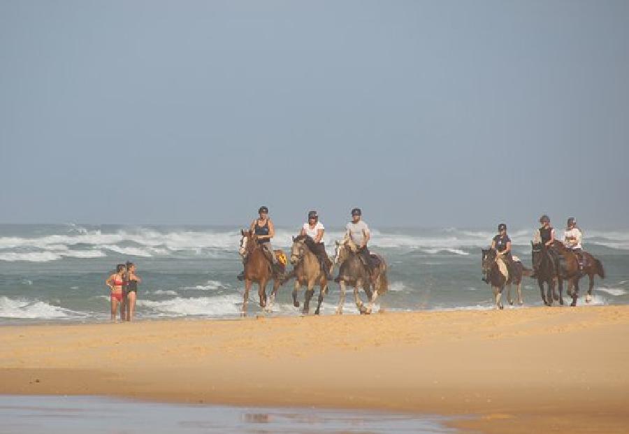 sejour Landes Cte Atlantique Landaise photo 3