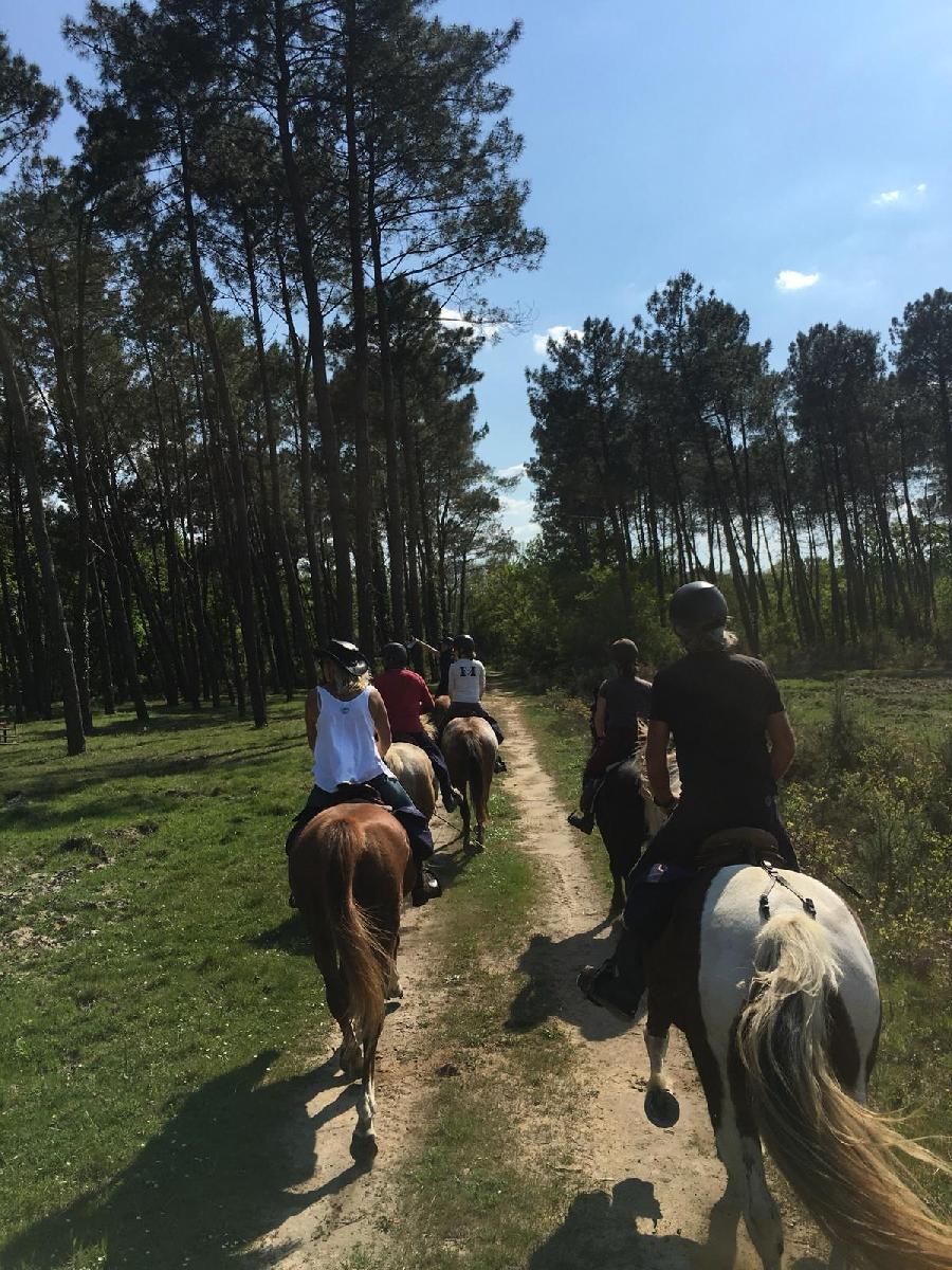 Randonne questre Landes Cte Atlantique Landaise photo 6