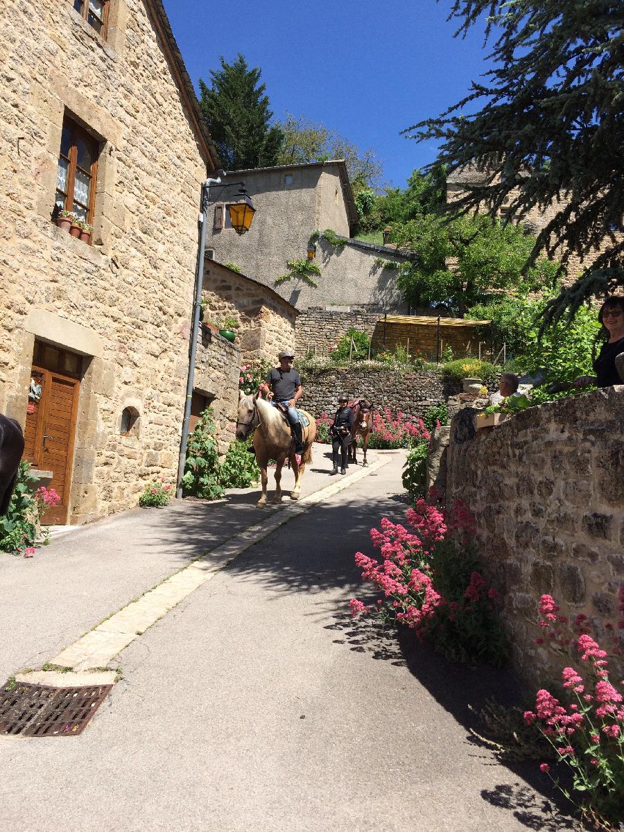 Sjour questre Aveyron PNR des Grands Causses photo 4