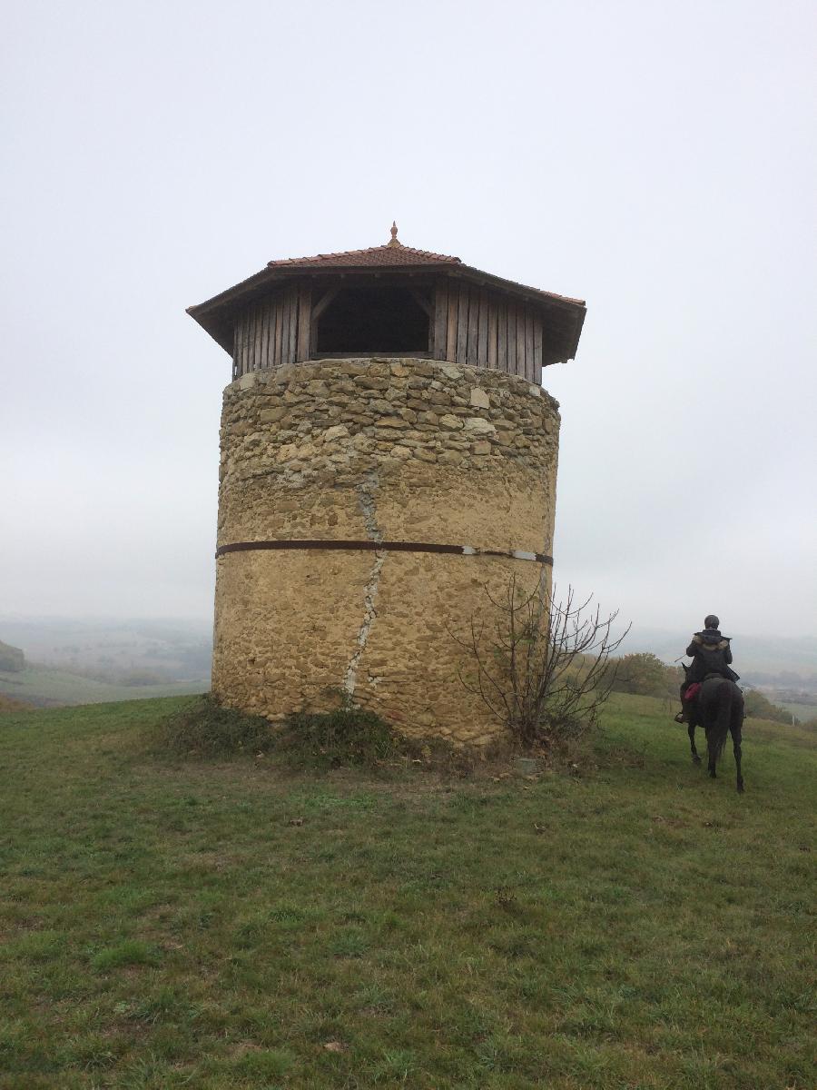 Randonne questre Gers Pays d'Armagnac photo 3