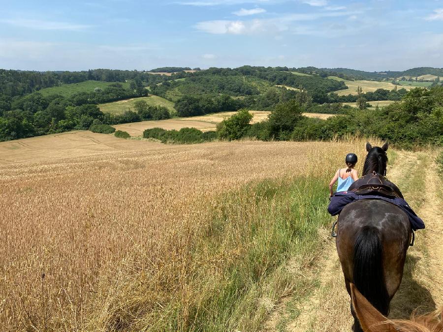 rando Balade  cheval Haute-Garonne