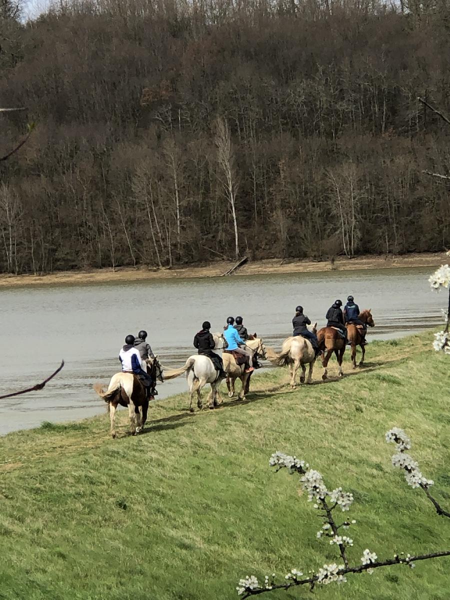 Balade  cheval Haute-Garonne  photo 3