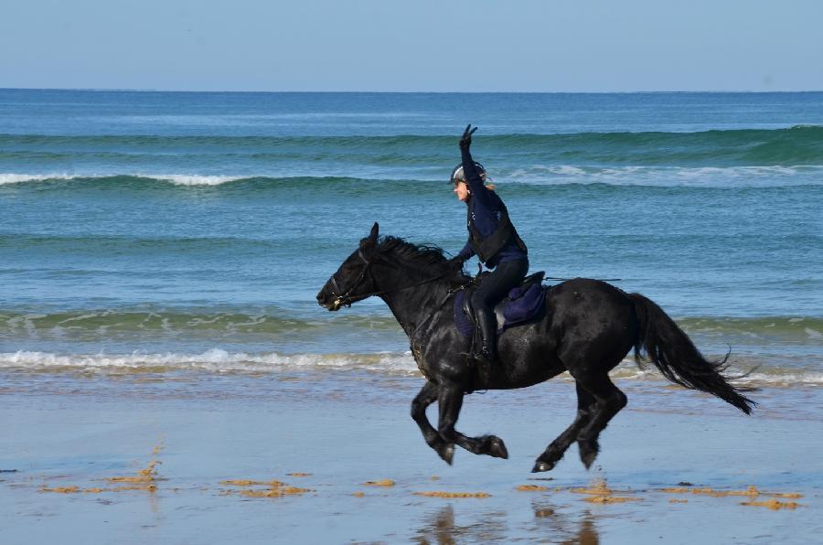 Randonne questre Landes Cte Atlantique Landaise