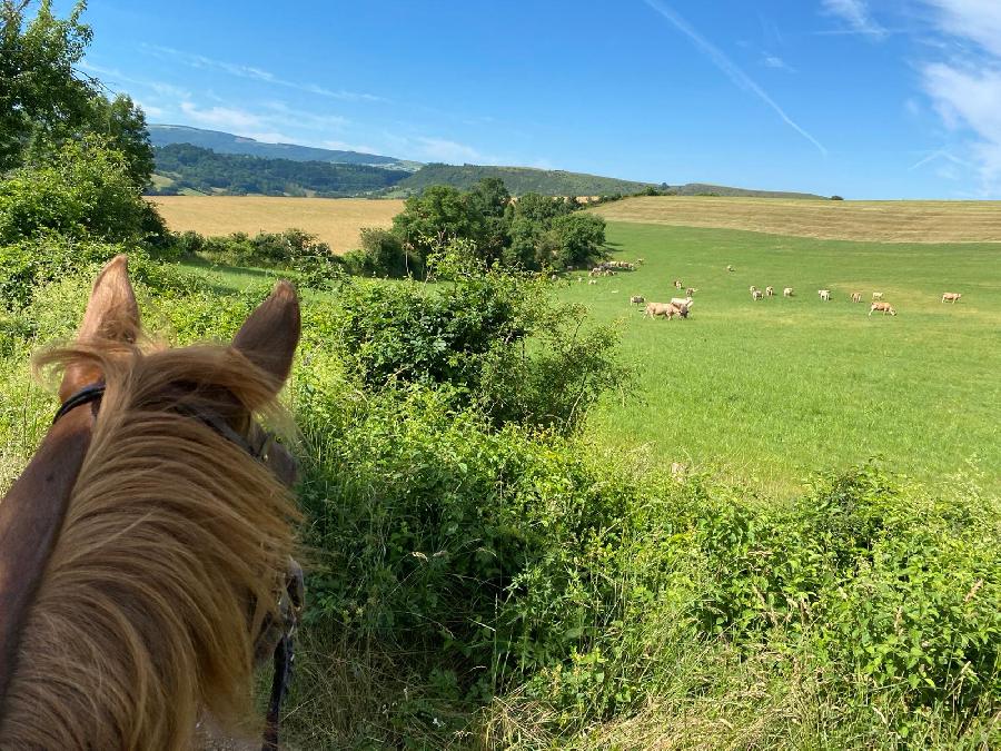 sejour Aveyron PNR des Grands Causses