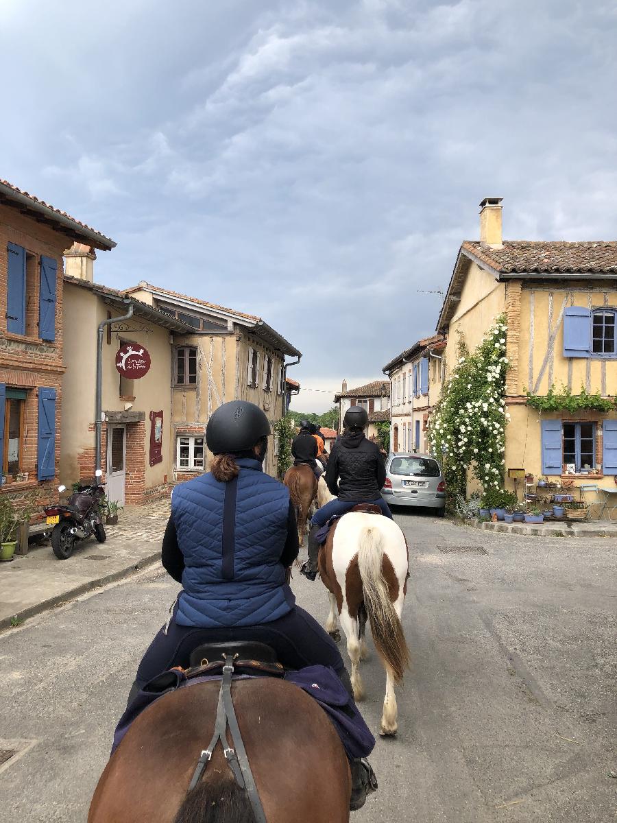 Balade  cheval Haute-Garonne  photo 2