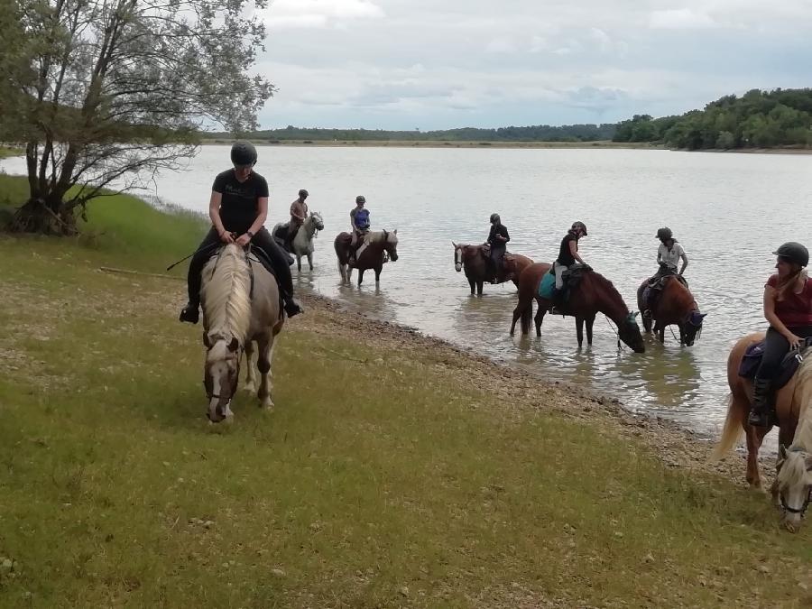 Balade  cheval Haute-Garonne  photo 5