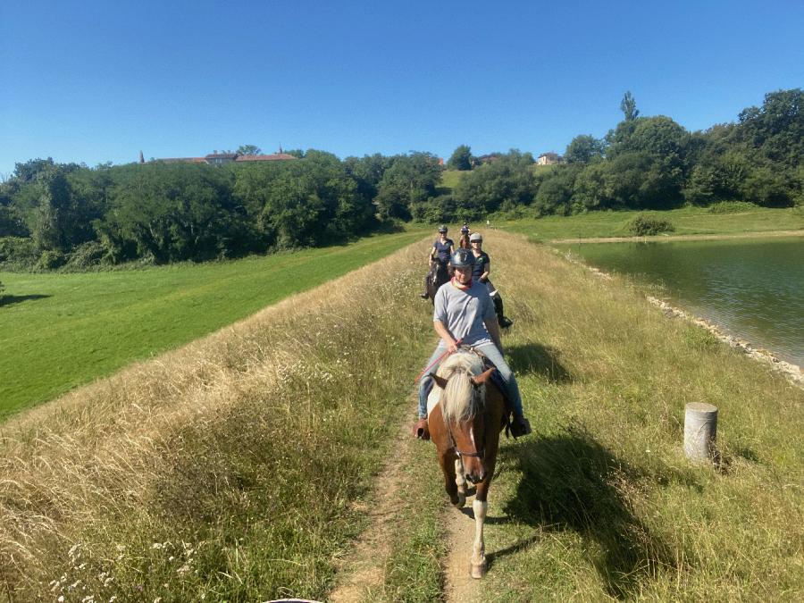 Sjour questre Haute-Garonne 