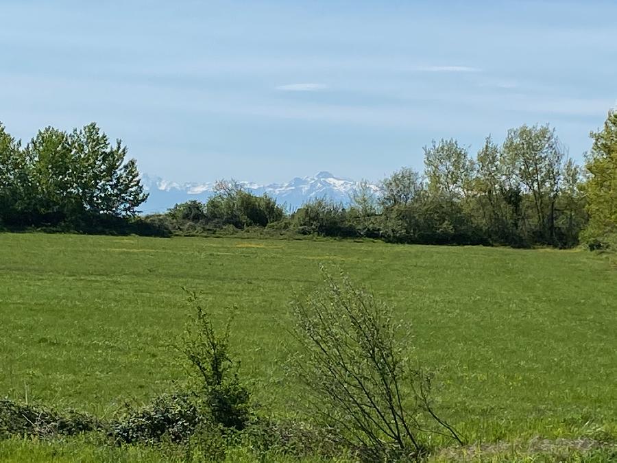 Sjour questre Haute-Garonne  photo 4