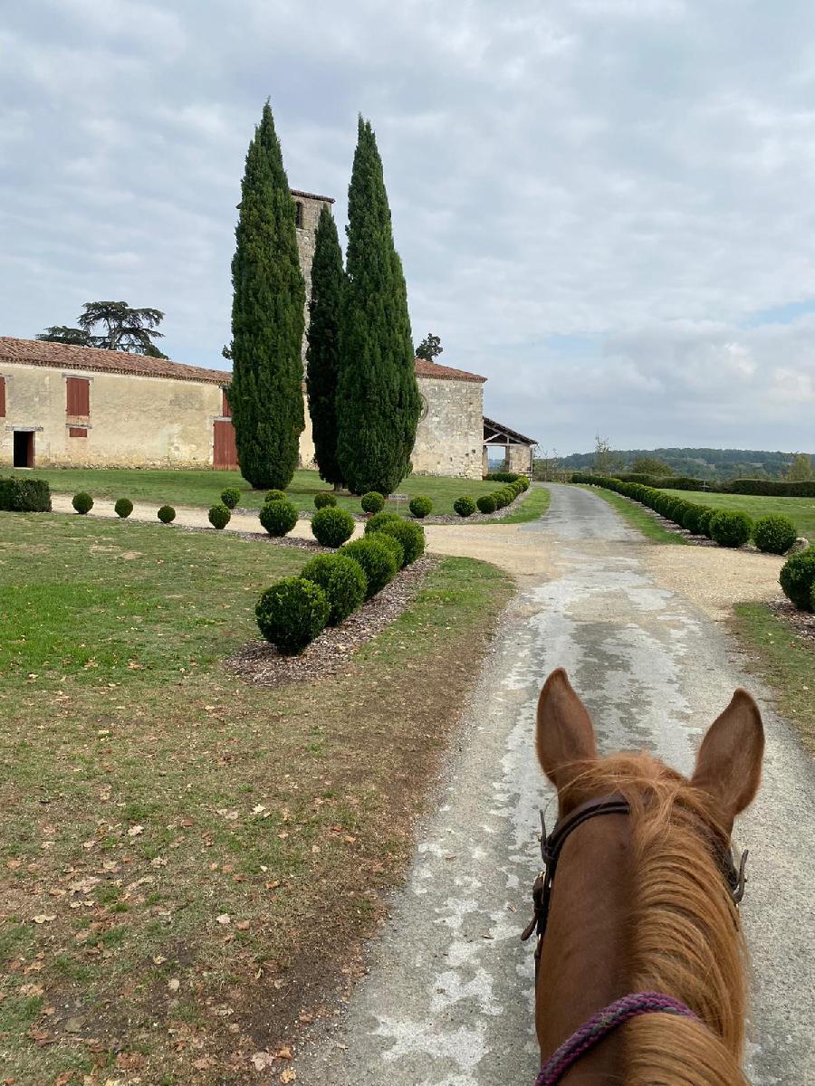 Sjour questre Lot-et-Garonne  photo 5