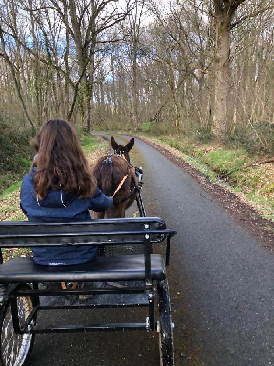 rando Attelage / promenade Haute-Garonne