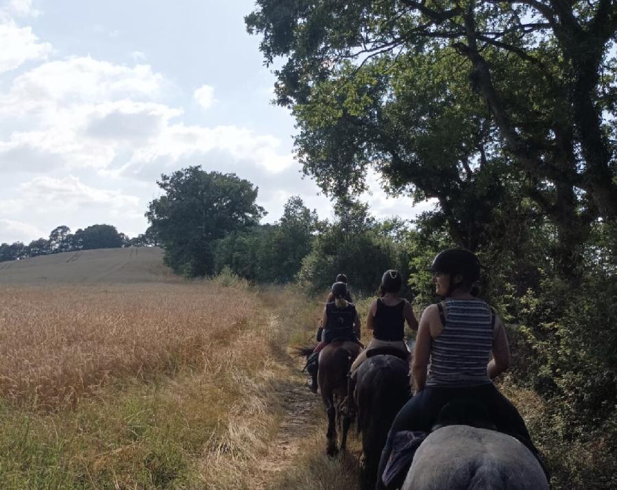 S�jour �questre   photo 2