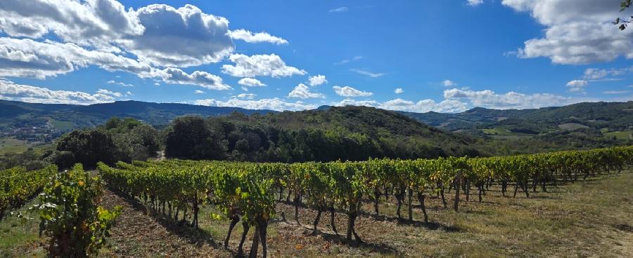 sejour Aude Pays Cathare