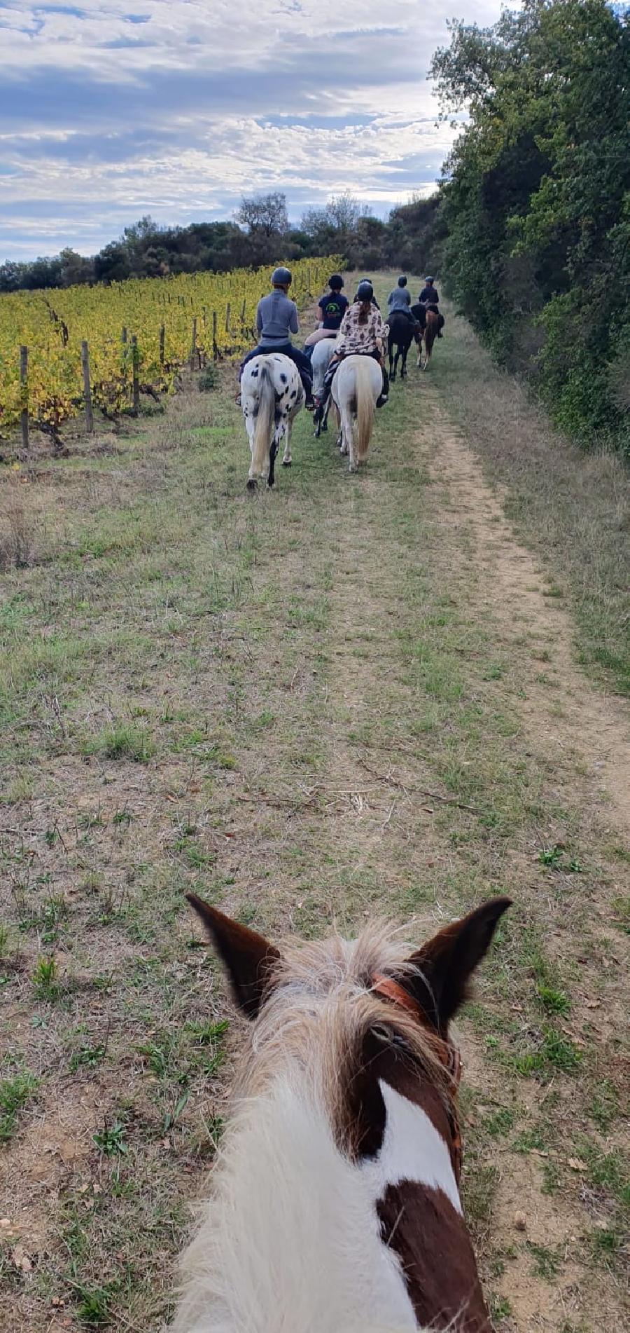 sejour Aude Pays Cathare photo 3