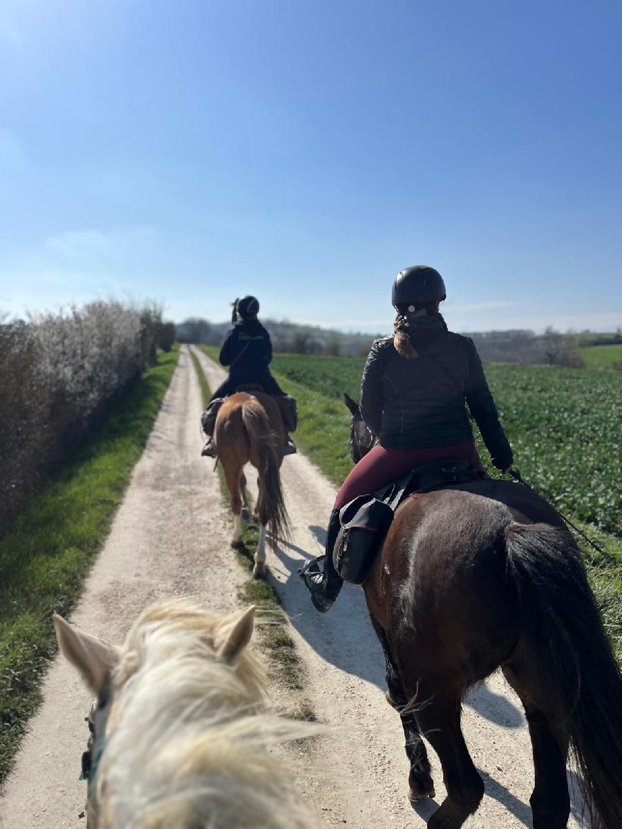 S�jour �questre   photo 2