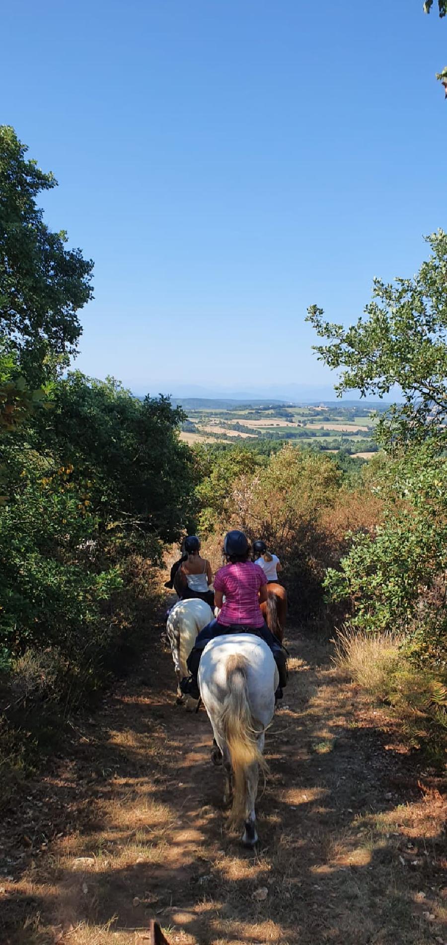 S�jour �questre   photo 2