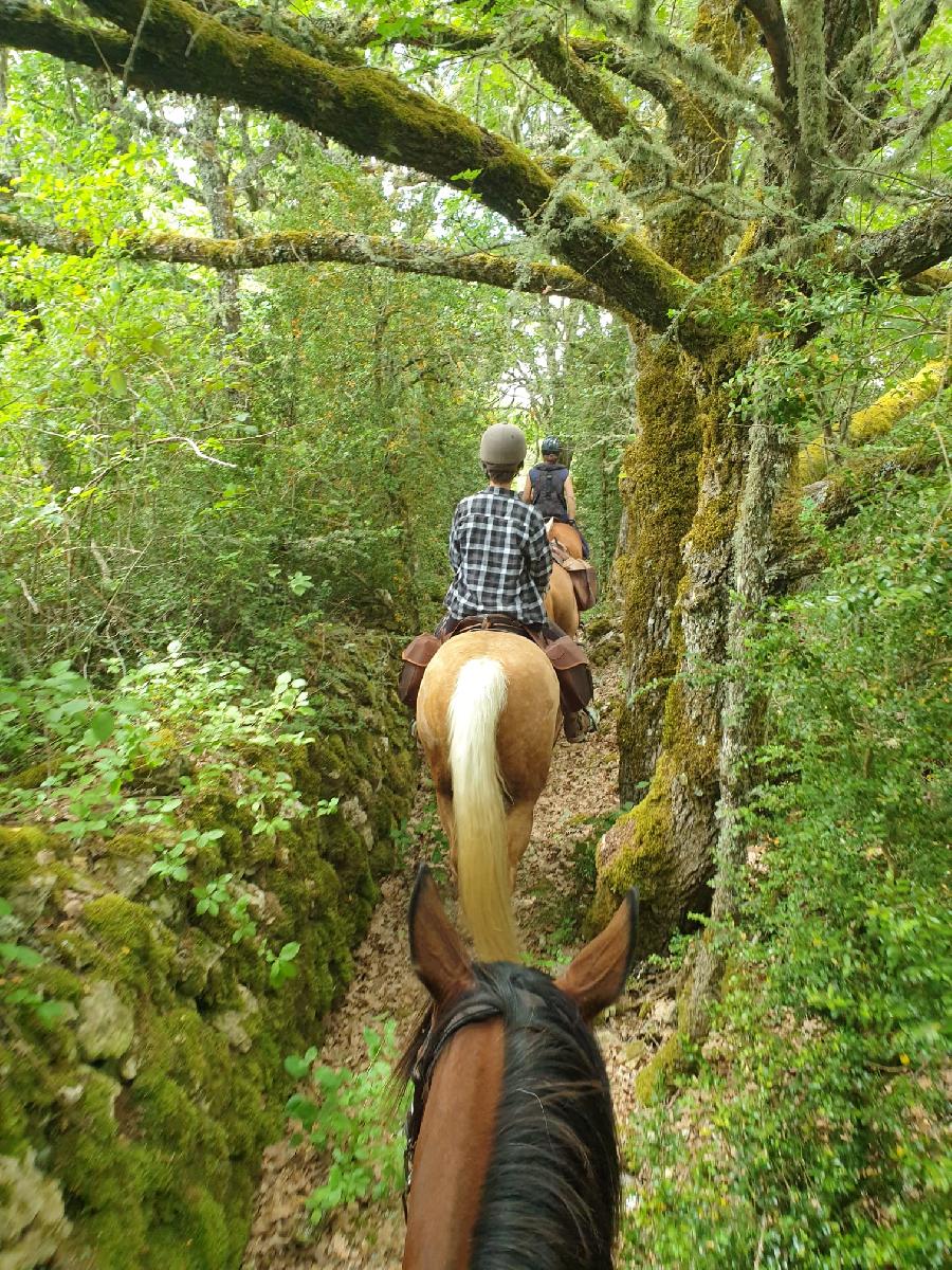 Randonn�e �questre   photo 3