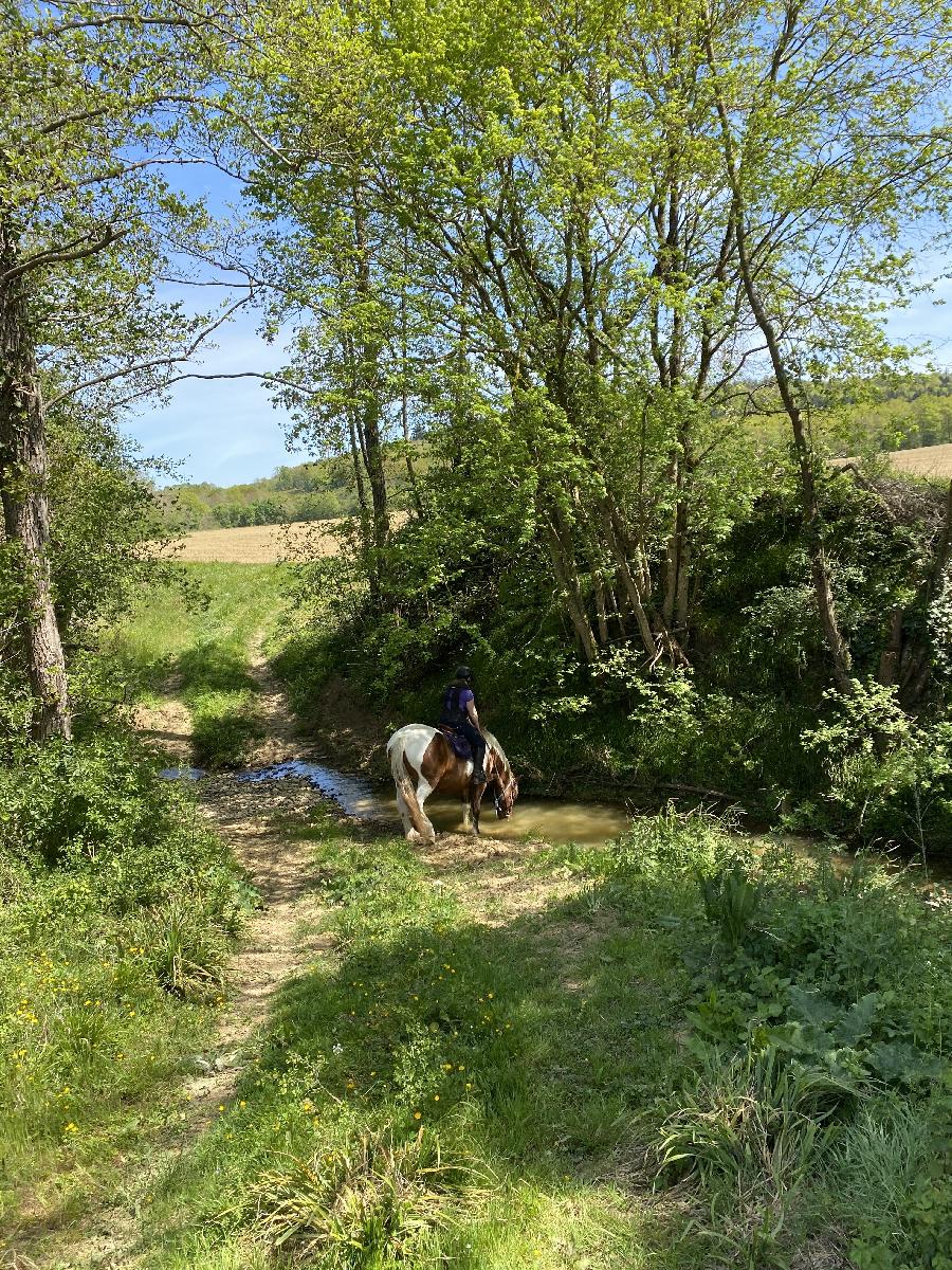 S�jour �questre   photo 2