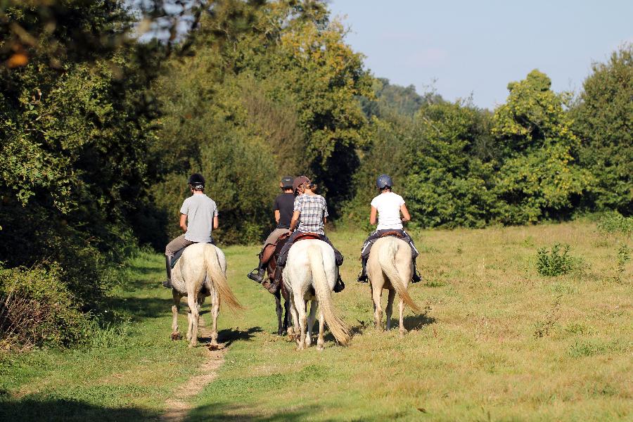 Sjour questre Dordogne Prigord photo 5