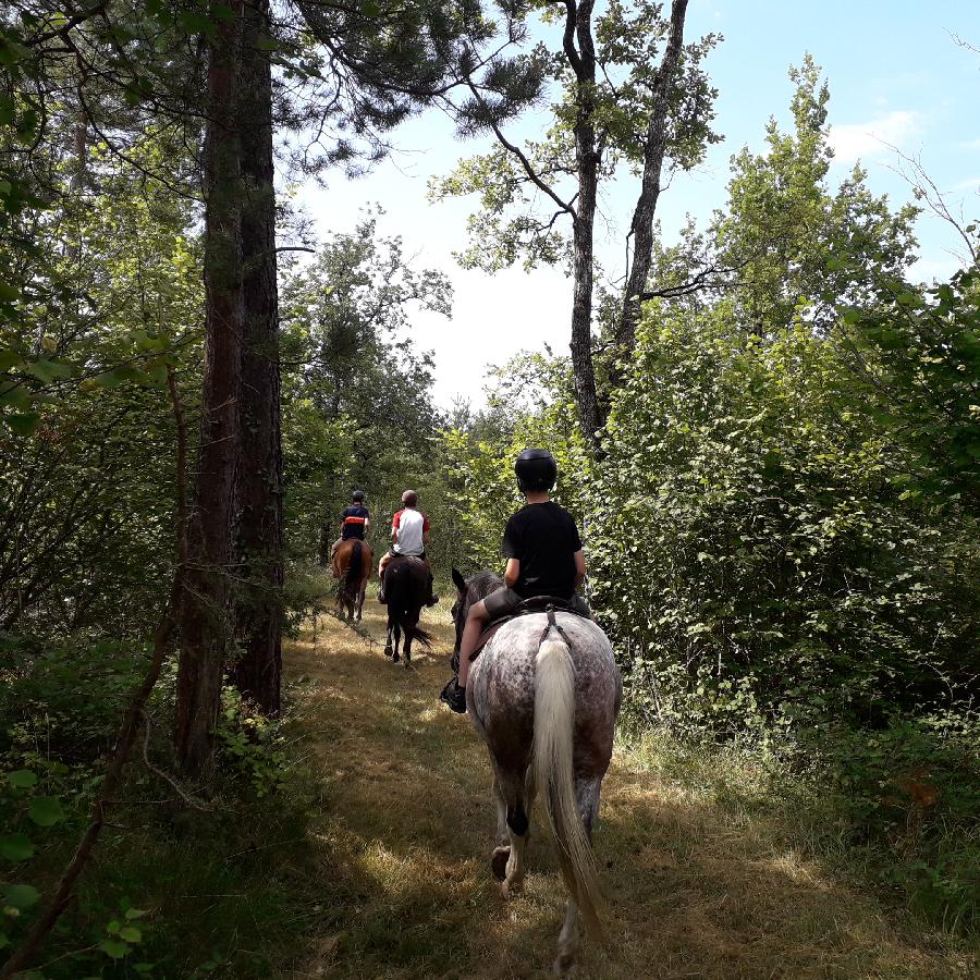 Randonne questre Dordogne Prigord photo 3