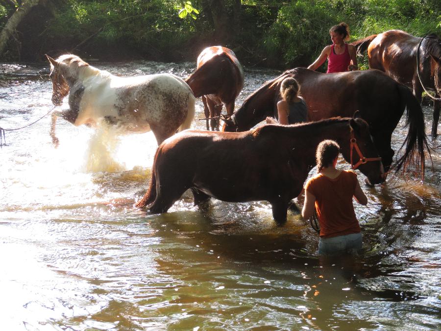 sejour Dordogne Prigord