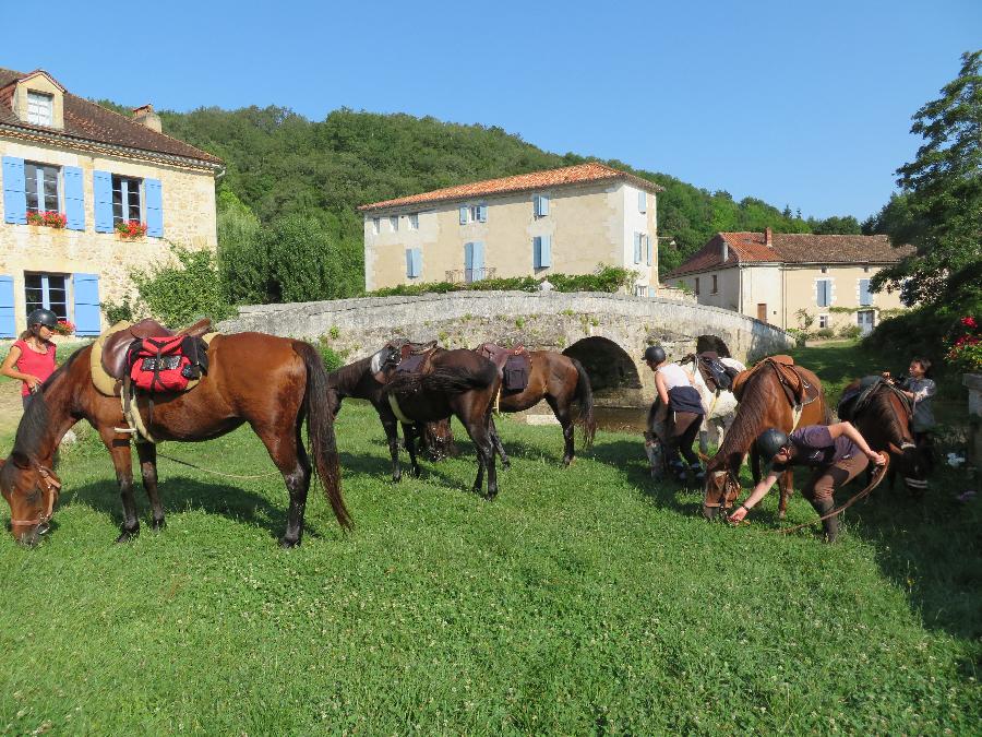 sejour Dordogne Prigord photo 6