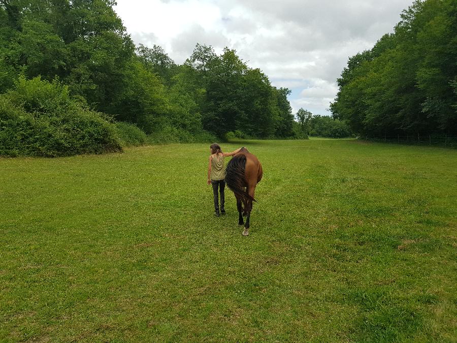 sejour Cheval et bien-tre Dordogne