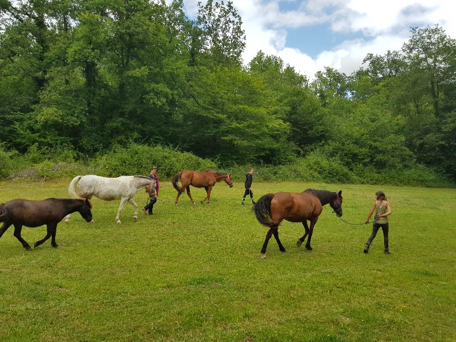 Stage quitation Dordogne Prigord photo 2