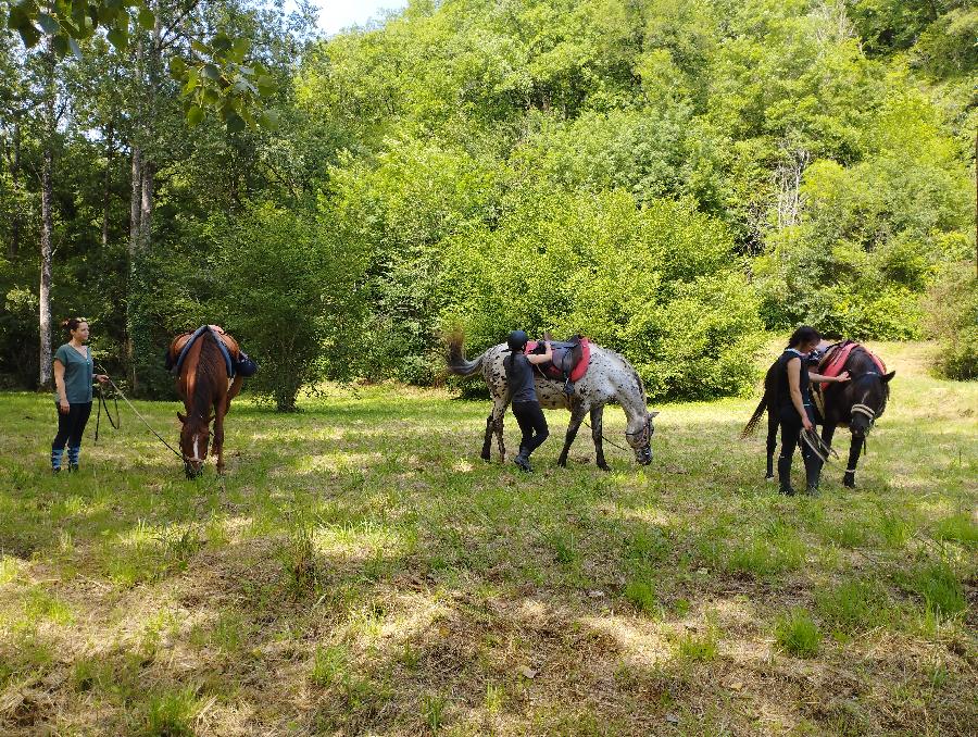 sejour Dordogne Prigord photo 2