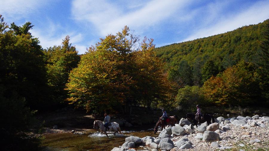 sejour Lozre Parc National des Cvennes photo 2