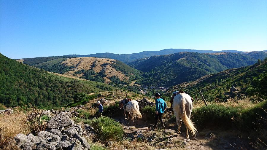 sejour Lozre Parc National des Cvennes photo 3