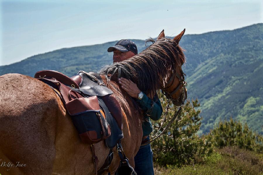 Randonne questre Lozre Parc National des Cvennes photo 6