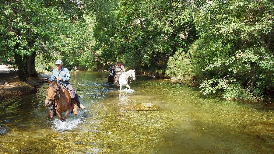 Voyage  cheval Lozre Parc National des Cvennes photo 5