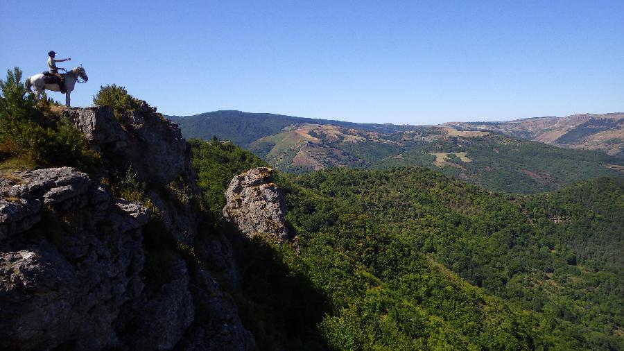 Voyage  cheval Lozre Parc National des Cvennes photo 6