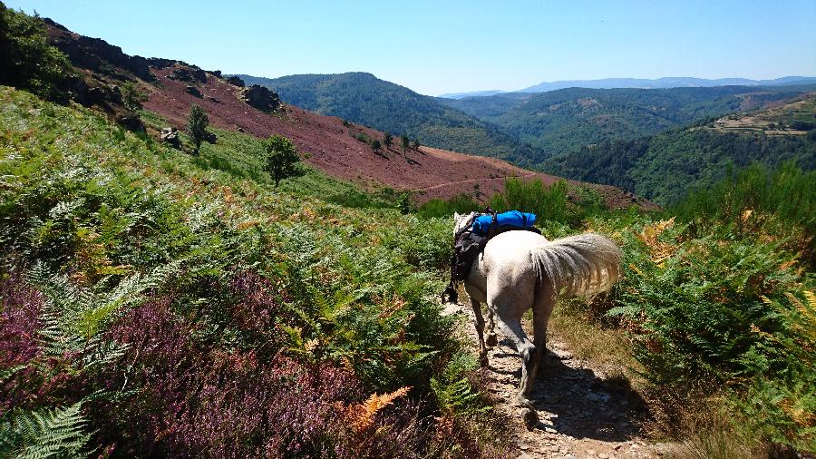 Voyage  cheval Lozre Parc National des Cvennes