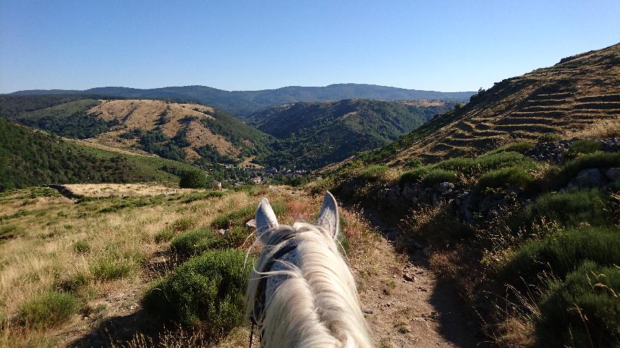 Voyage  cheval Lozre Parc National des Cvennes photo 2