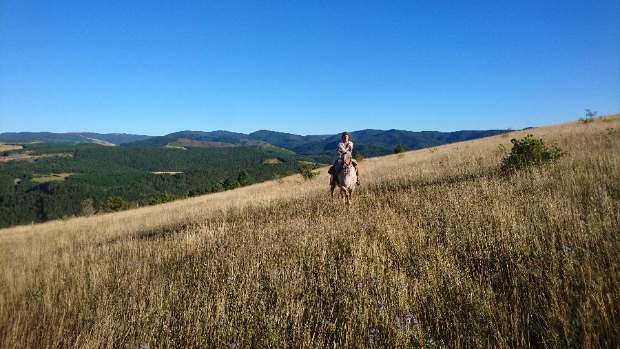 Voyage  cheval Lozre Parc National des Cvennes photo 3