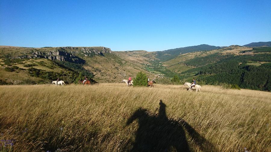 Voyage  cheval Lozre Parc National des Cvennes photo 4