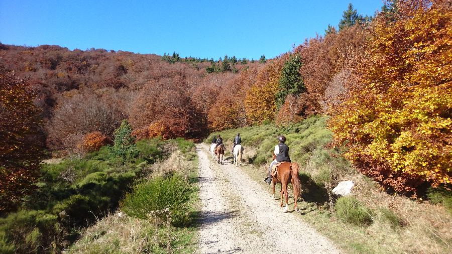 Randonne questre Lozre Parc National des Cvennes photo 6