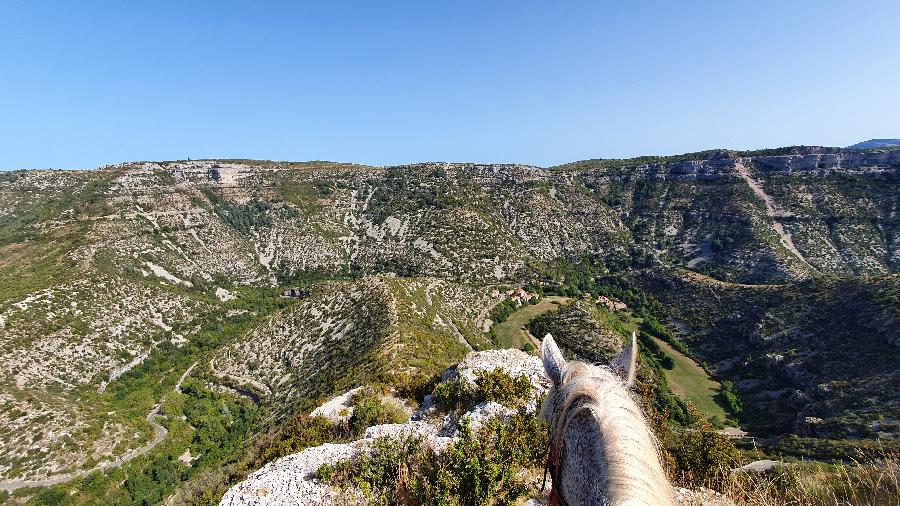 Balade  cheval Gard Parc National des Cvennes