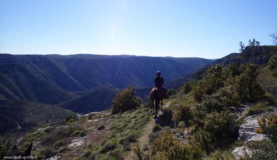 Balade  cheval   photo 2