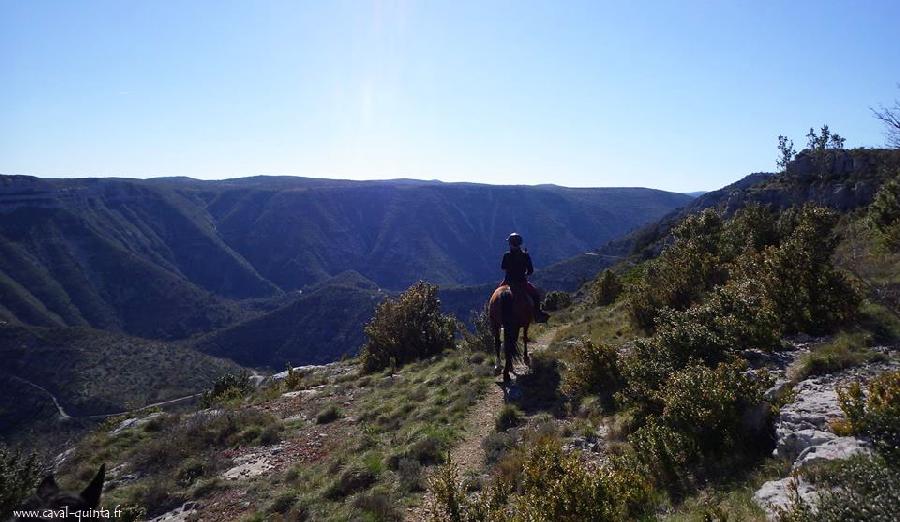 Balade  cheval Gard Parc National des Cvennes photo 2