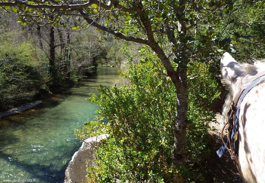 Randonne questre Gard Parc National des Cvennes photo 4