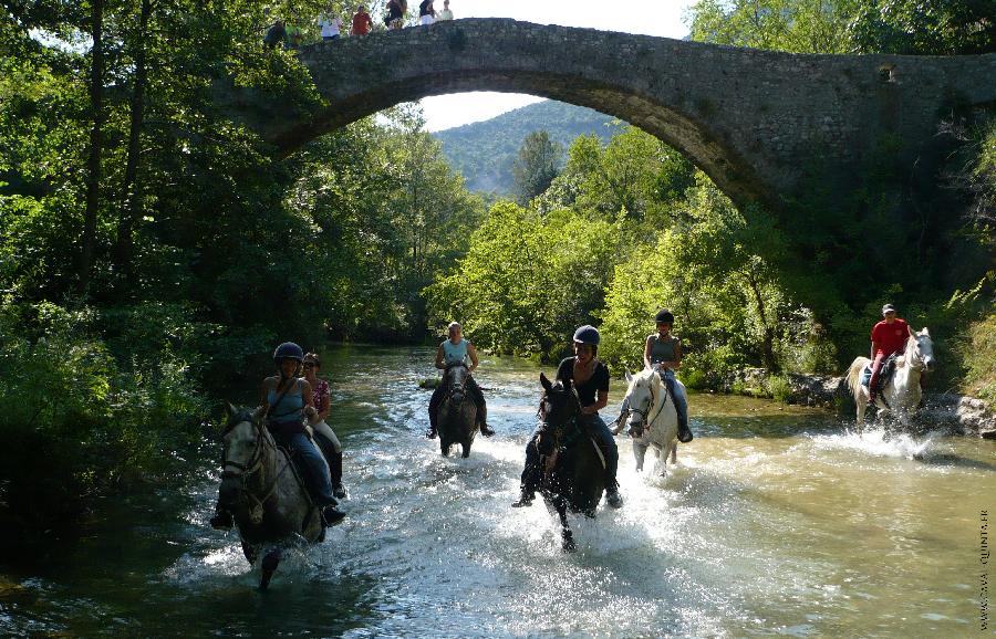 Balade  cheval   photo 5