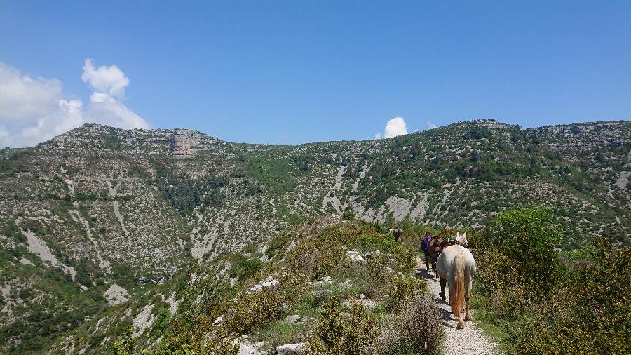 Balade  cheval   photo 6